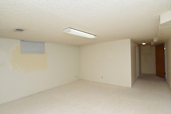 Basement Bedroom