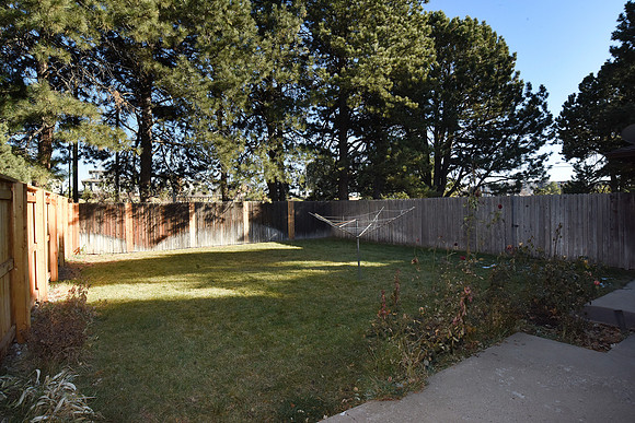 Back Yard